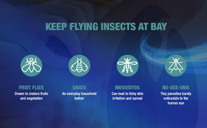 Intelligent Mosquito Lure & Capture Station