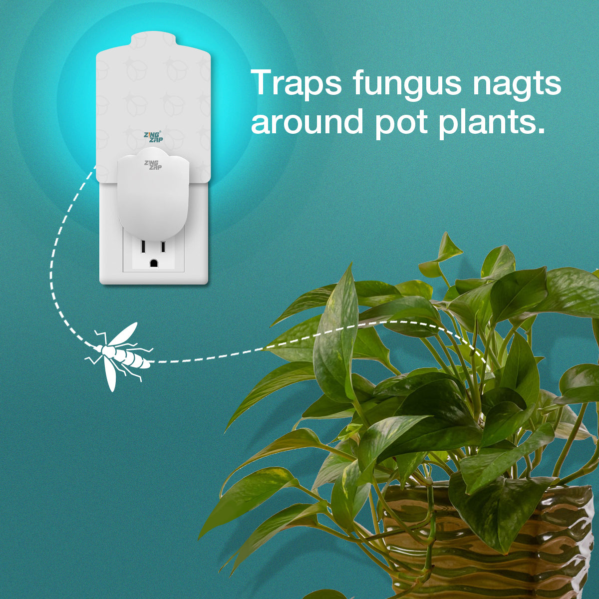 Flying Insect Plug-in Trap – ZingZapUSA