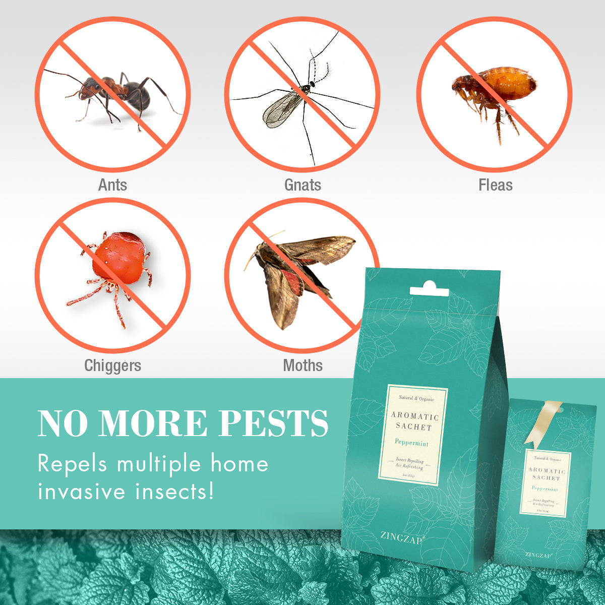 10-Pack Peppermint Aroma Sachets Insect Repellent & Fresh Air